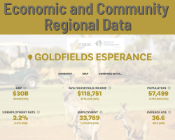 economic_and_community_regional_data.png