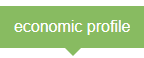 economic_profile.png